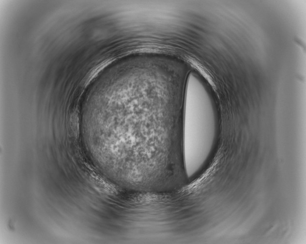 X0000096450829200802071809