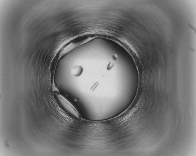 X0000096450830200802071809