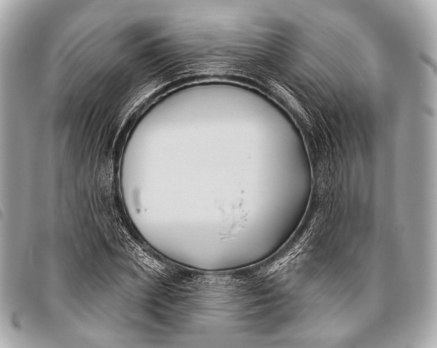 X0000096450831200802071809