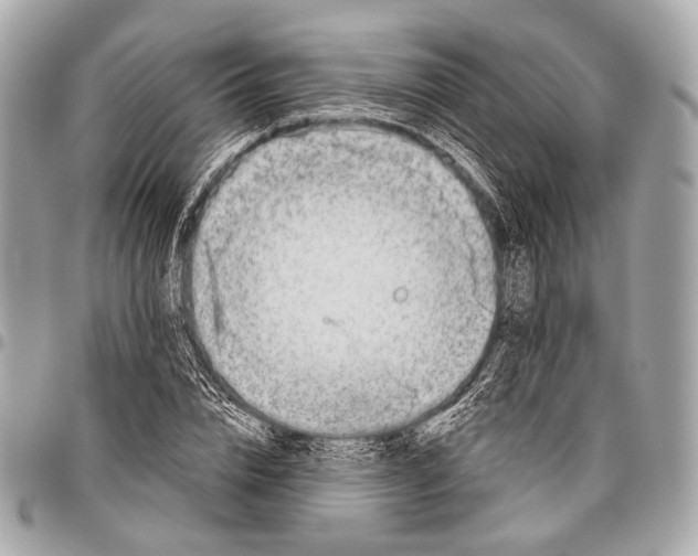 X0000096450832200802071809