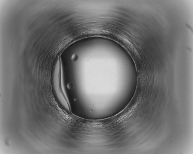 X0000096450833200802071809