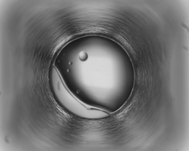 X0000096450834200802071809