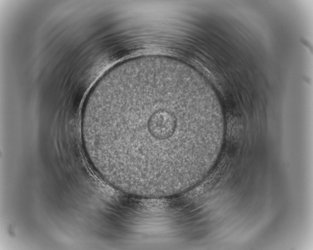 X0000096450836200802071809