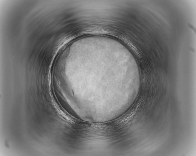 X0000096450840200802071809