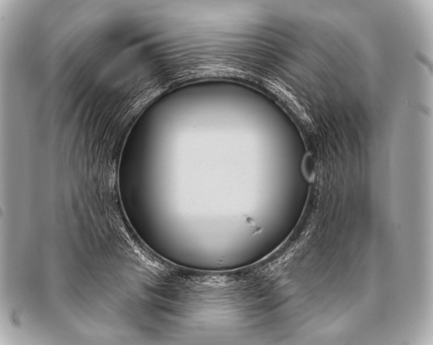 X0000096450841200802071809