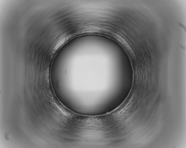 X0000096450842200802071809