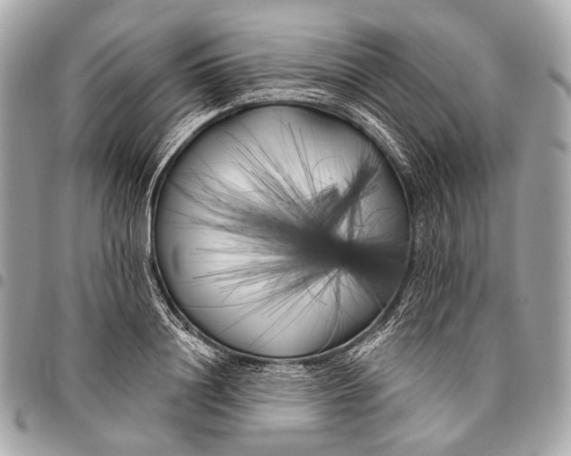 X0000096450844200802071809