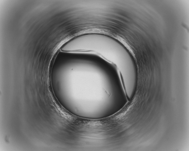 X0000096450845200802071809