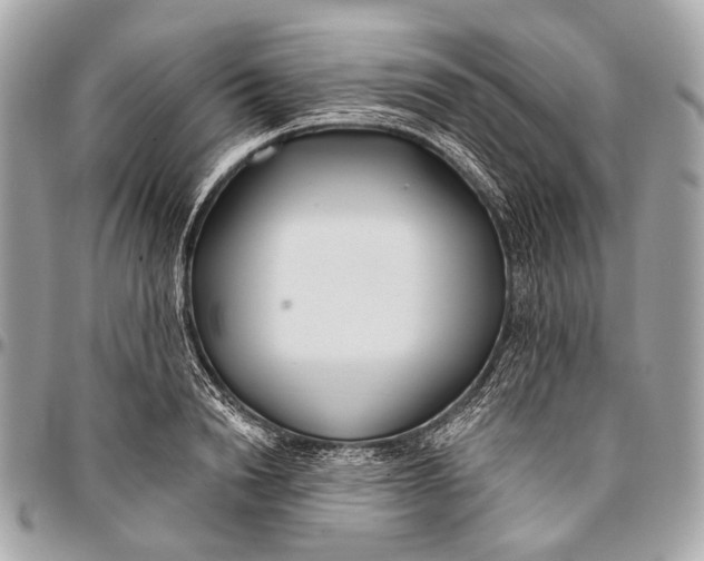 X0000096450846200802071809