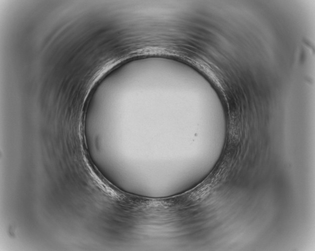 X0000096450847200802071809