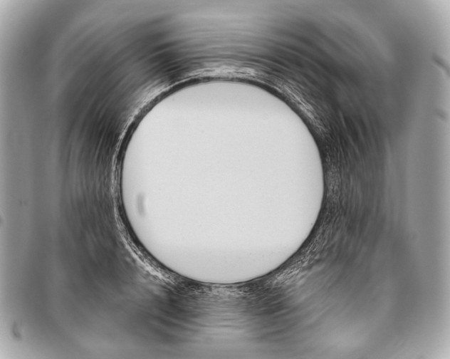 X0000096450848200802071809