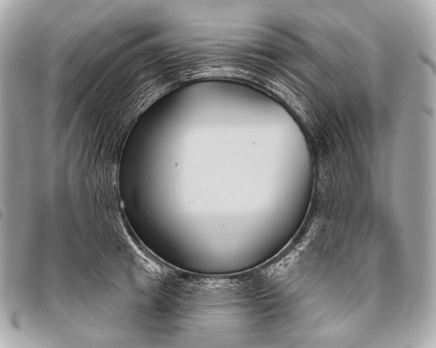 X0000096450849200802071809