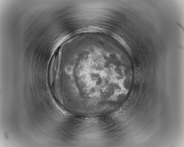 X0000096450850200802071809