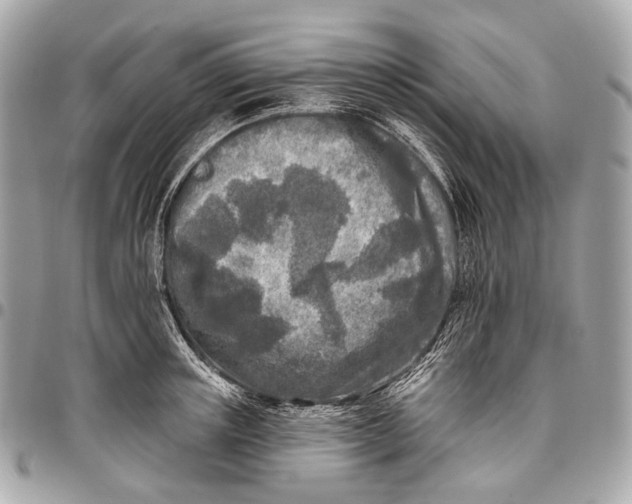 X0000096450851200802071809