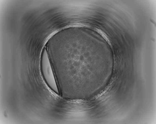 X0000096450853200802071810