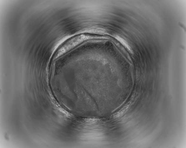 X0000096450854200802071810