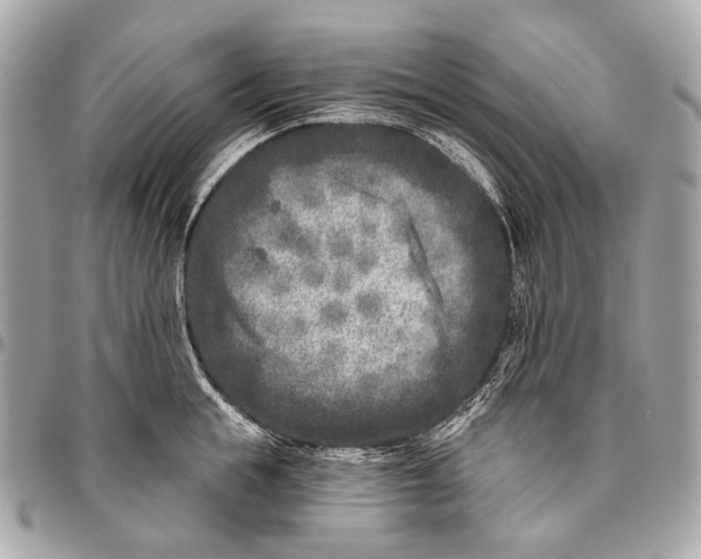 X0000096450855200802071810