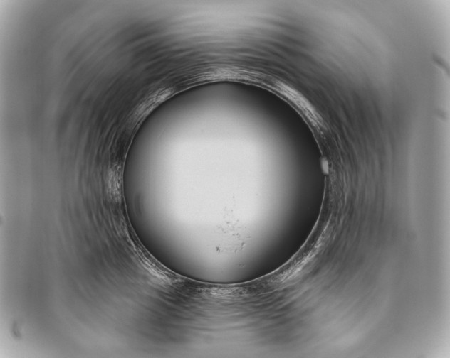 X0000096450857200802071810