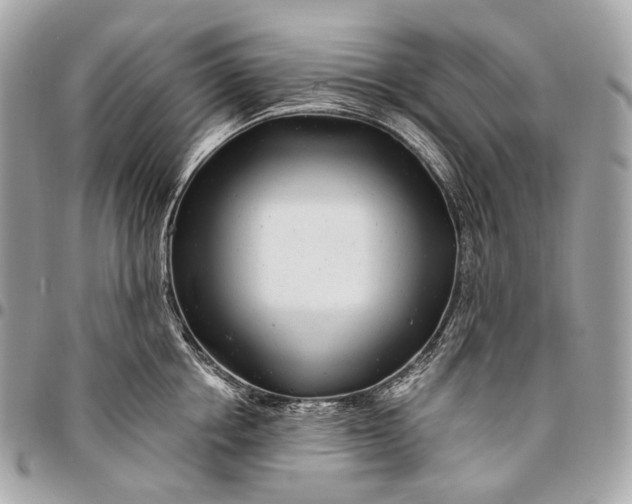 X0000096450858200802071810