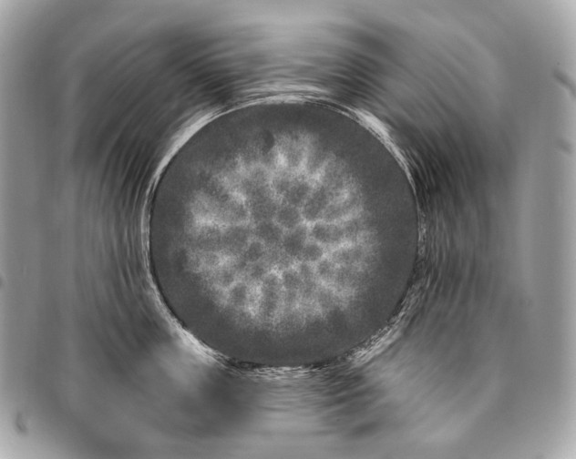 X0000096450859200802071810