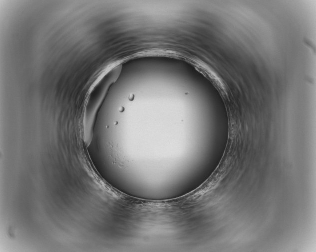 X0000096450860200802071810