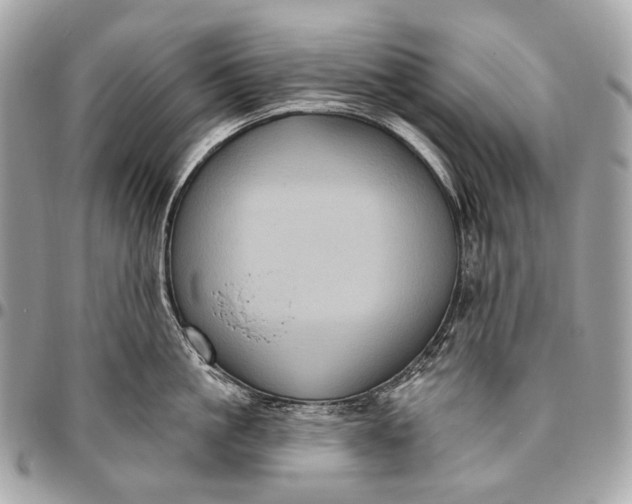 X0000096450861200802071810