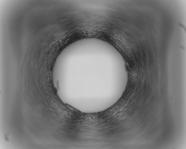 X0000096450865200802071809