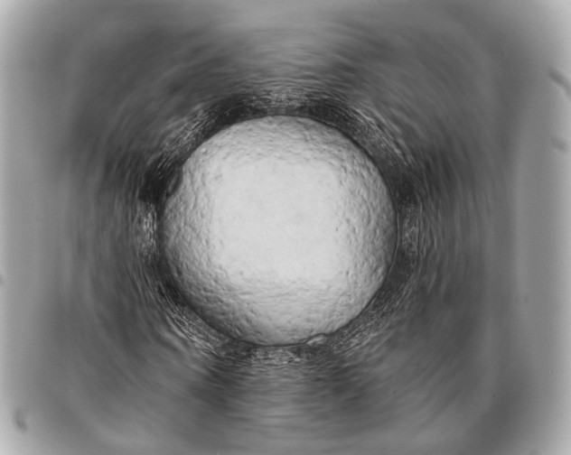 X0000096450866200802071809