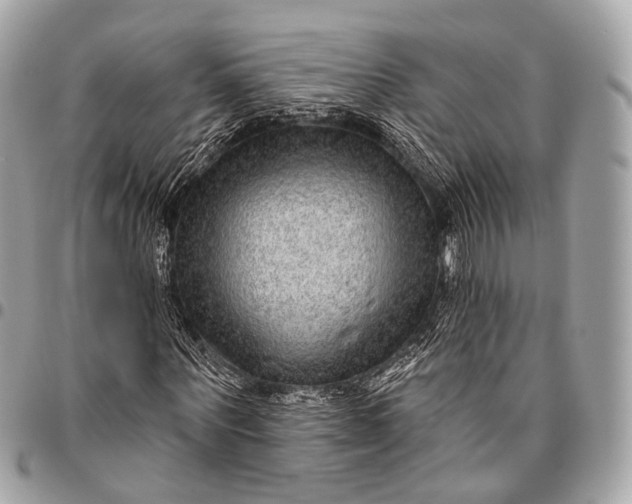 X0000096450867200802071809