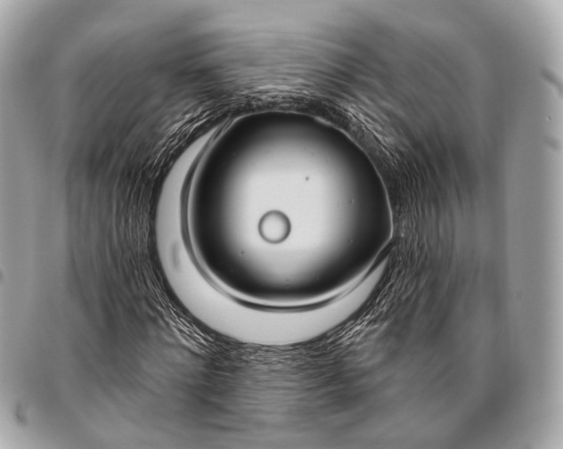 X0000096450868200802071809