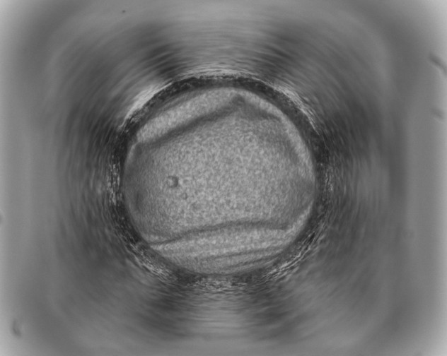 X0000096450871200802071809