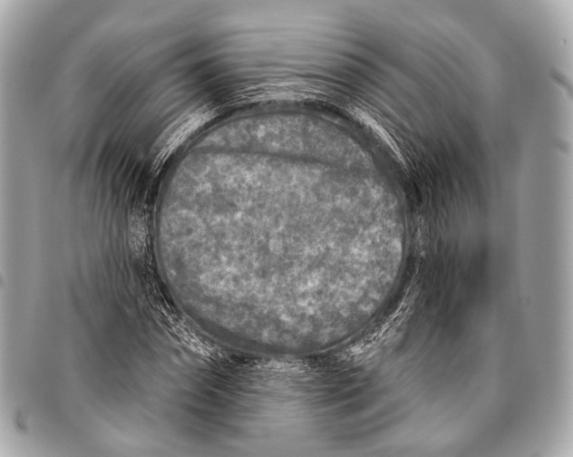 X0000096450874200802071809