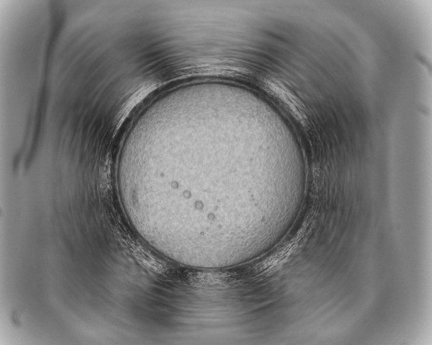 X0000096450875200802071809