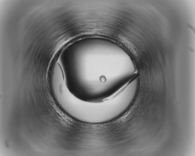 X0000096450876200802071809