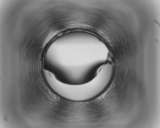 X0000096450877200802071809