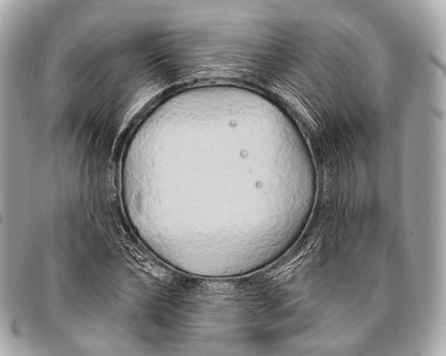 X0000096450878200802071809