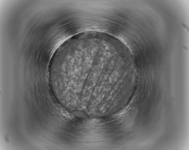 X0000096450879200802071809