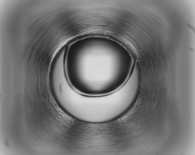 X0000096450880200802071809