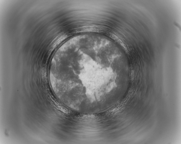 X0000096450882200802071809