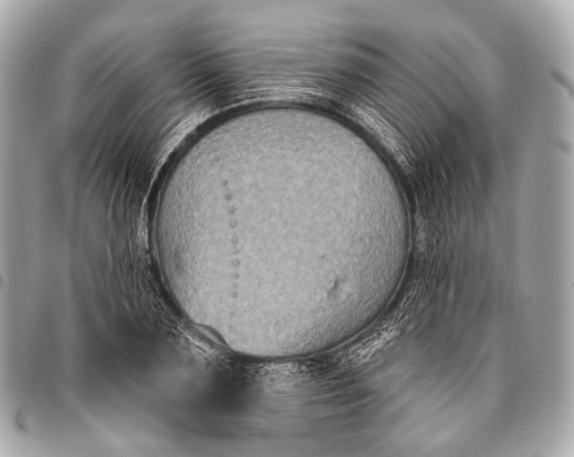 X0000096450883200802071809