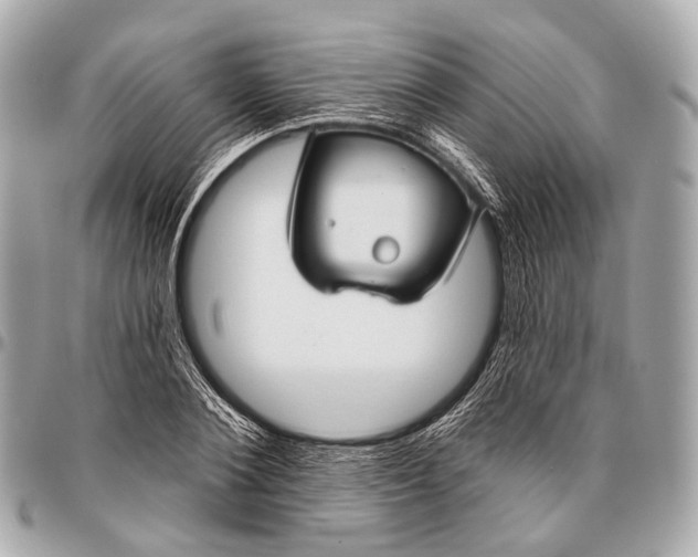 X0000096450884200802071809