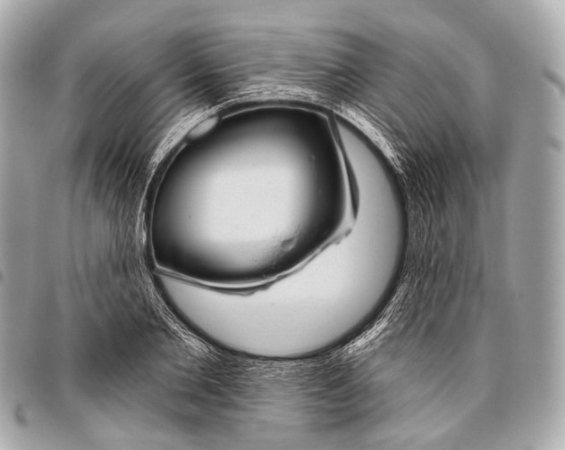 X0000096450885200802071809