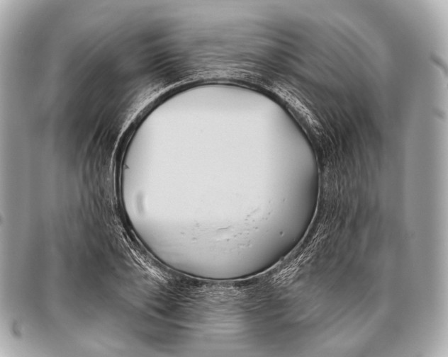 X0000096450886200802071809