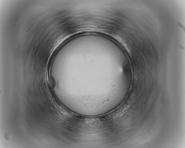 X0000096450887200802071809