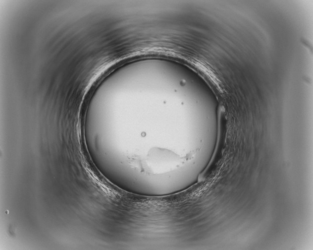 X0000096450888200802071809