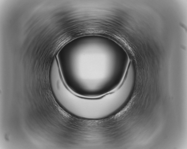 X0000096450889200802071809