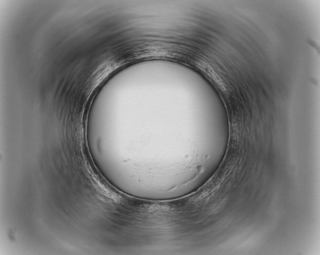 X0000096450890200802071808