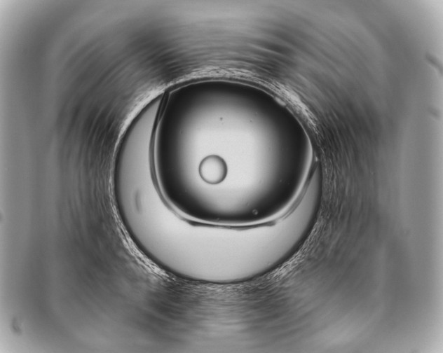 X0000096450896200802071808