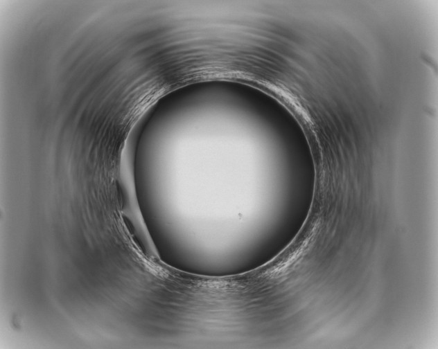 X0000096450897200802071808