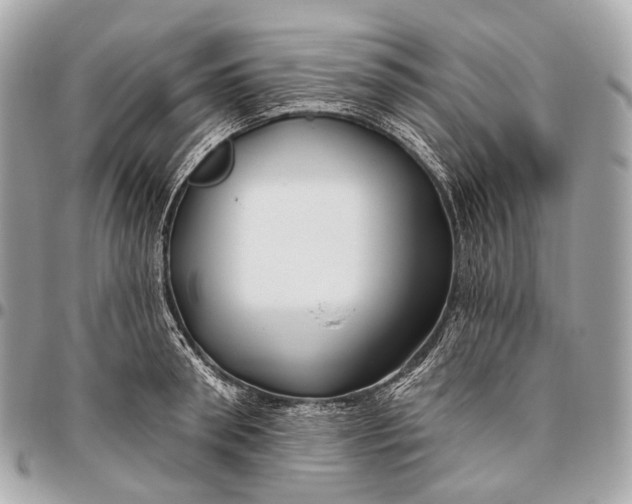 X0000096450898200802071808